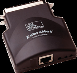 Product image of ZEBRA P1037974-001