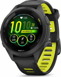 Product image of Garmin 010-02810-13