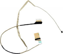Dell NSC020439 tootepilt