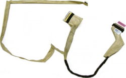 Dell NSC020378 tootepilt