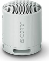 Product image of Sony SRSXB100H.CE7