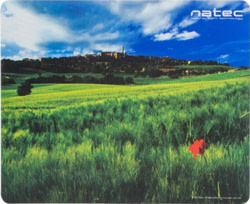 Product image of Natec Genesis NPF-1403/10