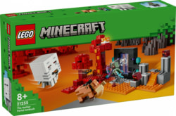 Product image of Lego 21255