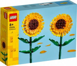 Lego 40524 tootepilt