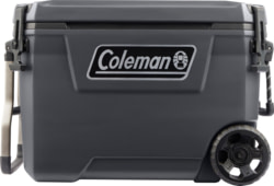 Coleman 2193724 tootepilt