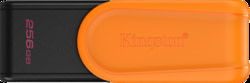 KIN DTXS/256GB tootepilt