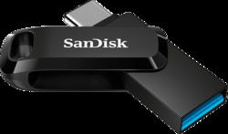 SanDisk SDDDC3-256G-G46 tootepilt