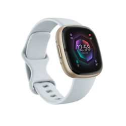 Product image of Fitbit FB521GLBM