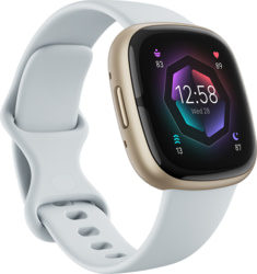 Product image of Fitbit FB521GLBM