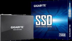 Gigabyte GP-GSTFS31256GTND tootepilt