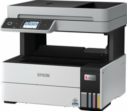 Product image of Epson C11CJ88403