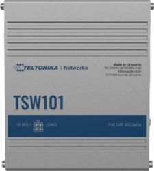 Teltonika TSW101000000 tootepilt