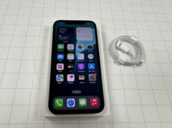 Product image of Apple 12Black64C
