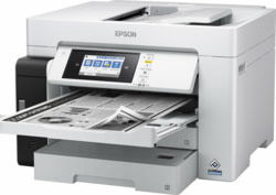 Epson C11CJ41406 tootepilt