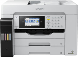 Product image of Epson C11CH71406
