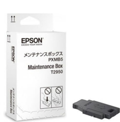 Epson C13T295000 tootepilt