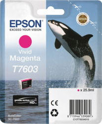 Epson C13T76034N10 tootepilt