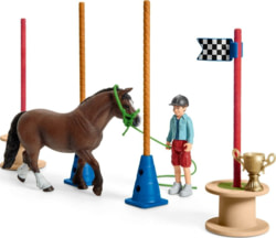 Product image of Schleich 42482