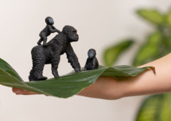 Product image of Schleich 42601
