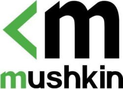 Mushkin MKNSSDED500GB-D8 tootepilt