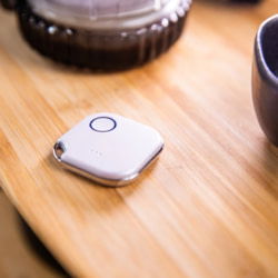 Shelly SHELLY-BLU-Button1-WHITE tootepilt