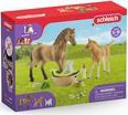 Product image of Schleich 42432