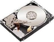 Product image of Seagate ST91000640NS