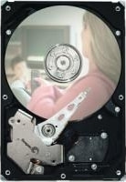 Product image of Seagate ST3320311CS