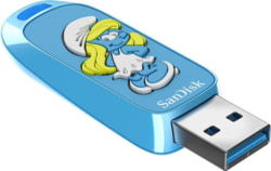 SanDisk SDCZIS-256G-G46 tootepilt