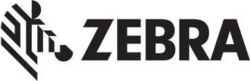 ZEBRA P1025950-034 tootepilt