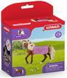 Product image of Schleich 42468