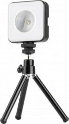 Newell NL3173 tootepilt