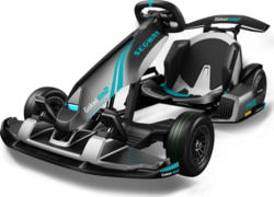 Segway AA.04.04.01.0004 tootepilt