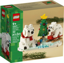 Lego 40571 tootepilt