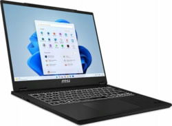 Product image of MSI D13MG-094PL