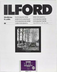 Ilford 1179848 tootepilt