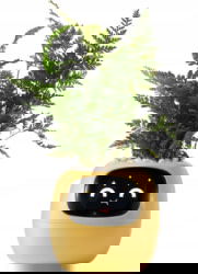 Product image of PlantsIO PLANTSIO IVY YEL