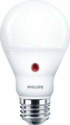 Philips 002139980000 tootepilt