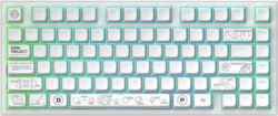 Dark Project DPKB_NOVA_81_ANSI_WHITE tootepilt