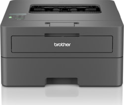 Product image of Brother HLL2400DWERE1