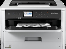 Product image of Epson C11CG08401