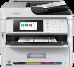 Epson C11CK23401 tootepilt