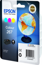 Product image of Epson C13T26704010