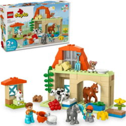 Product image of Lego 10416