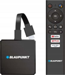 Blaupunkt 6901956010010 tootepilt