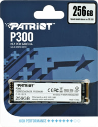Patriot Memory P300P256GM28 tootepilt