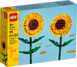 Lego 40524 tootepilt