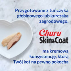 INABA EU672 tootepilt