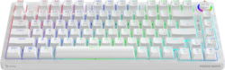 SAVIO PHENIX WHITE GAT RED tootepilt