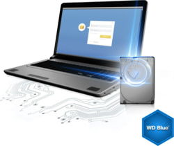 Western Digital WD10EZEX tootepilt